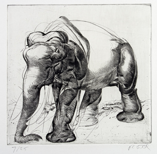 Olifant1