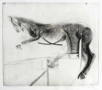 Paard2